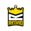 Redno Gaming Minecraft Server Icon