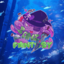 Sanz Fantasy Minecraft Server Icon