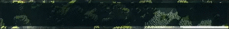 SimplyVanilla Minecraft Server banner