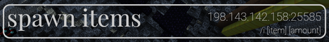 Spawn Items Minecraft Server banner