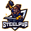 Steel PvP Minecraft Server Icon