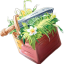 Survival Fun Minecraft Server Icon
