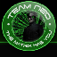 Team-NeOs Survvial With A Twist Server Minecraft Server Icon