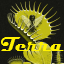 Terra Incognita Minecraft Server Icon