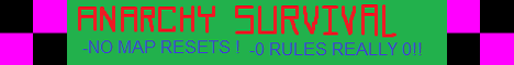The 10 Year Project Minecraft Server banner