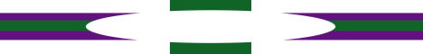 The Lands of Lin Minecraft Server banner