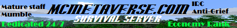 The Metaverse Minecraft Server banner