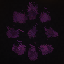 The Other SMP Minecraft Server Icon