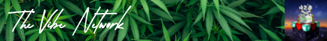 The Vibe Network Minecraft Server banner
