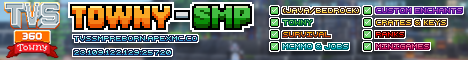 TVS 360 Minecraft Server banner