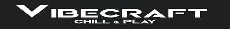 VibeCraft Minecraft Server banner