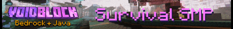 Void Block Minecraft Server banner
