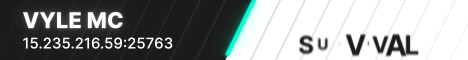 Vyle MC Minecraft Server banner