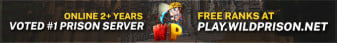 WildNetwork Minecraft Server banner