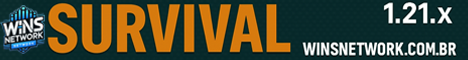 Wins Network Minecraft Server banner