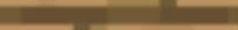 WoodLand SMP Minecraft Server banner