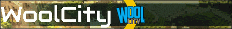 WoolCity Minecraft Server banner