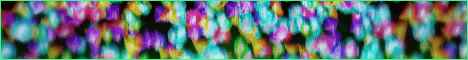 ZeDupe Minecraft Server banner